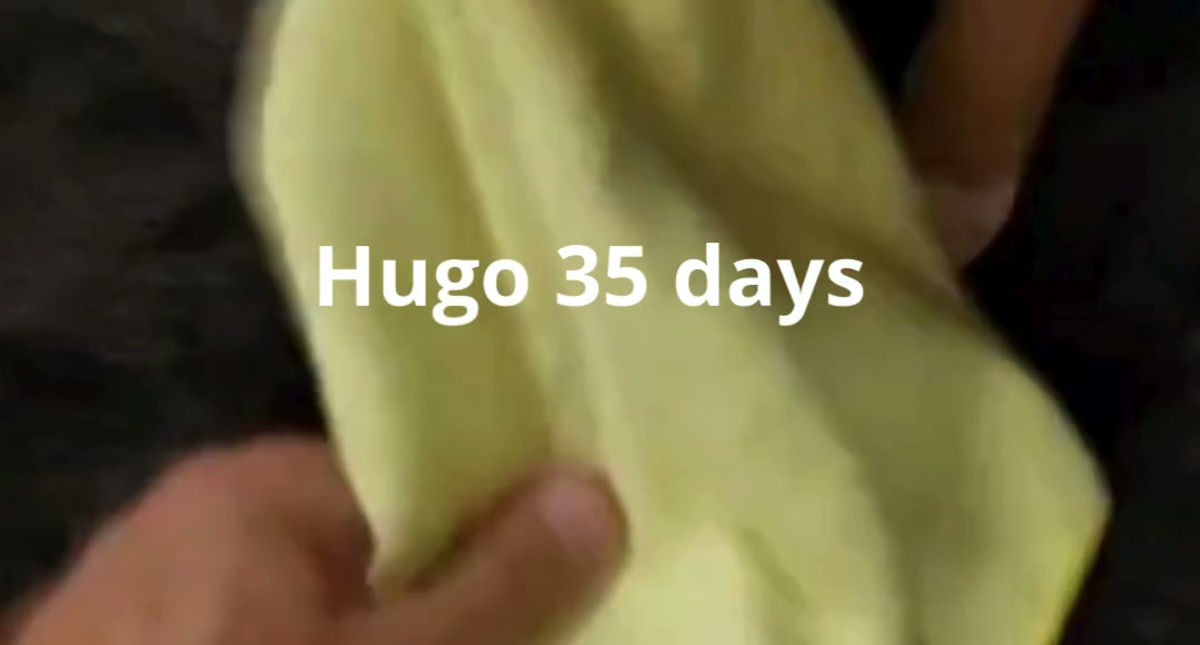 Hugo 35 days